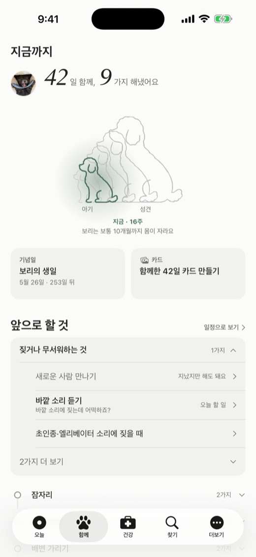 왈로그 지금까지 화면 — 42일 함께, 아기에서 성견까지