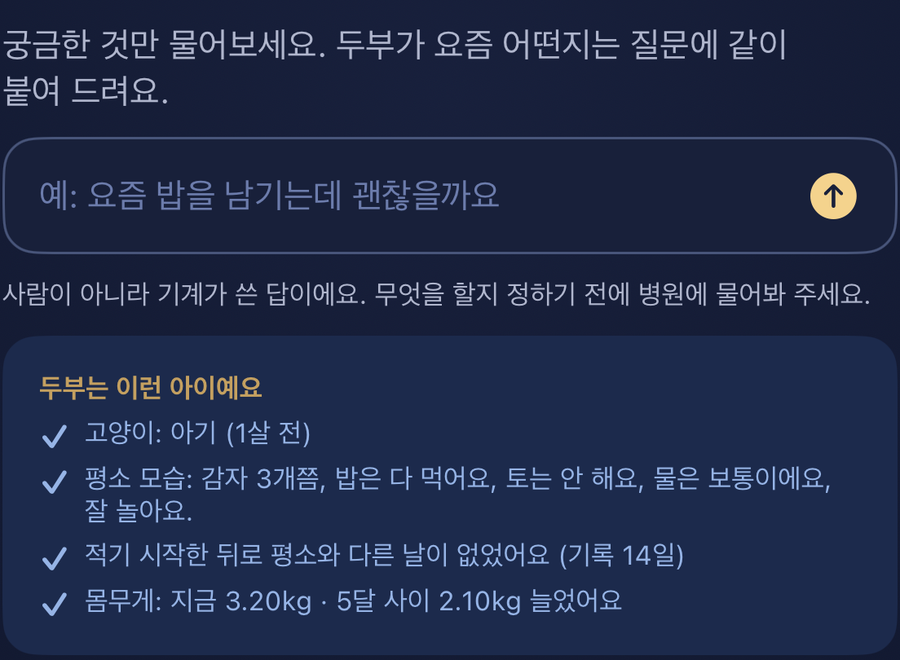 물어보기 화면 — 묻는 칸 아래에 나이·평소 모습·기록한 날 수·몸무게가 함께 나간다고 적혀 있다