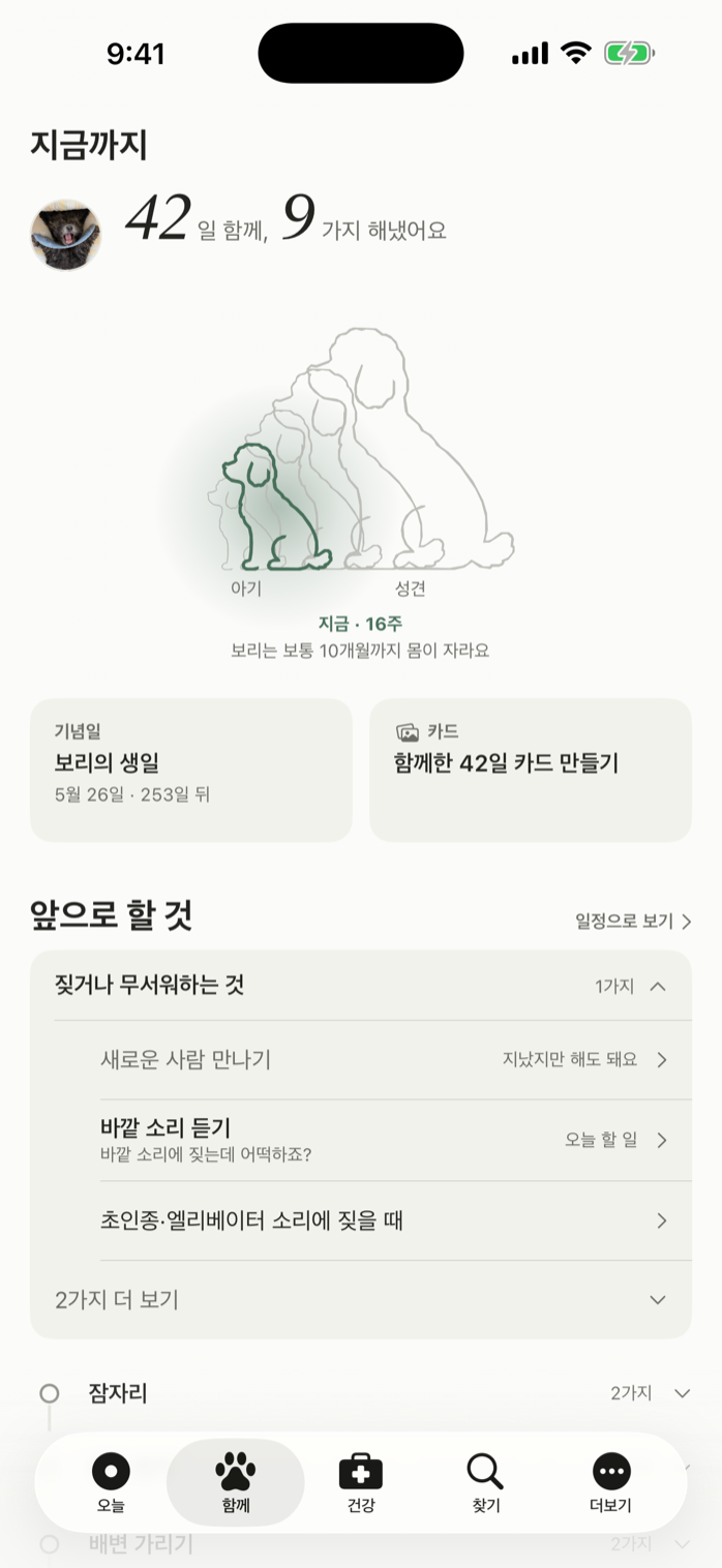 함께 화면 — 자란 모습과 앞으로 올 것